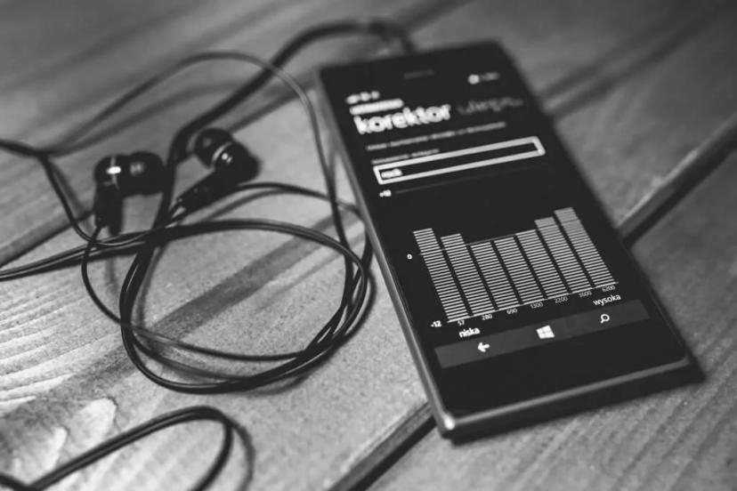 The Top 3 Pros and Cons of The Jaybird VS Freedom Earbuds